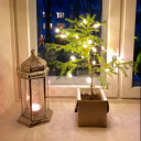 Antinluoma & Muukkonen Oy Ab