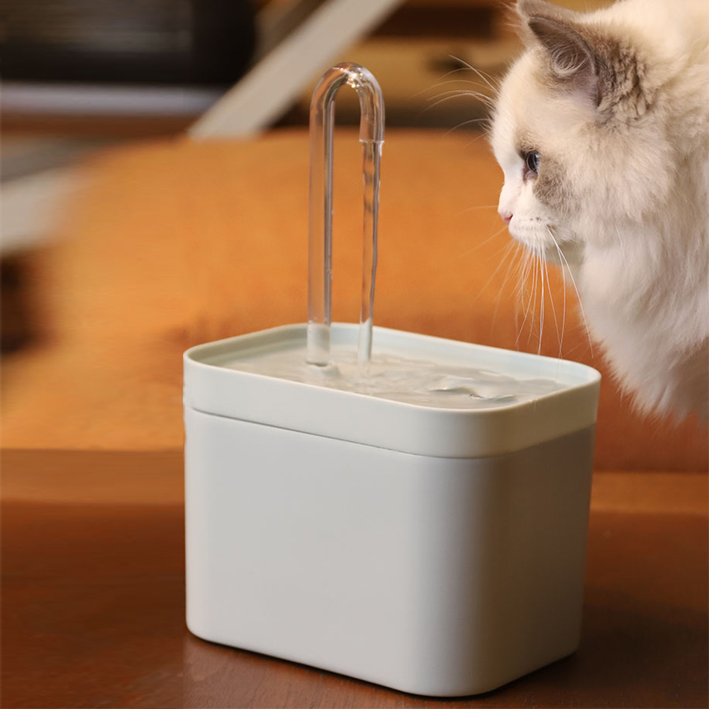 Fonte de agua para gatos