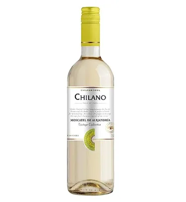 Vinho Chileno Chilano Branco Sauvignon Blanc 750ml