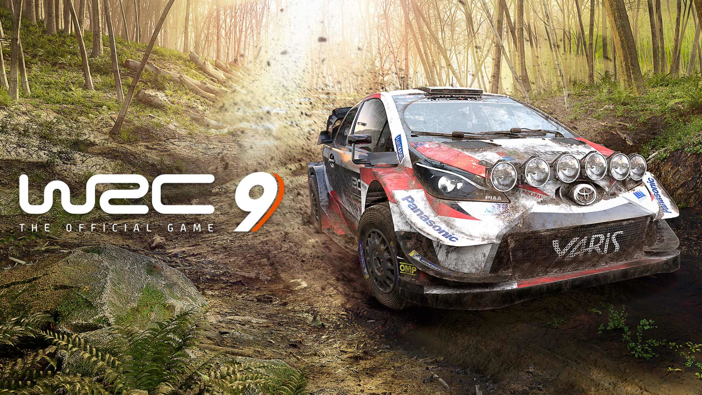 WRC 9 The Official Game (Nintendo switch)
