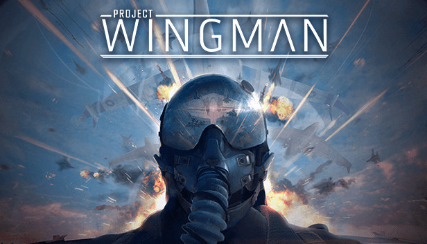 Jogo Project Wingman - PC Steam