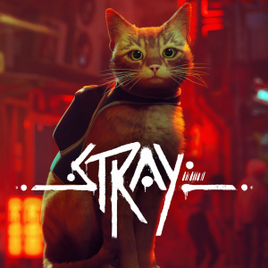 Jogo Stray - PS4 & PS5
