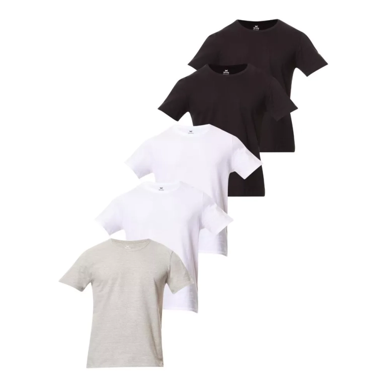 Kit com 5 Camisetas Básicas Hering - Masculina