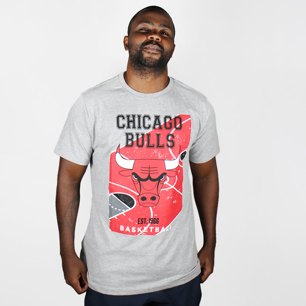 Camiseta NBA Chicago Bulls Backcourt Cinza