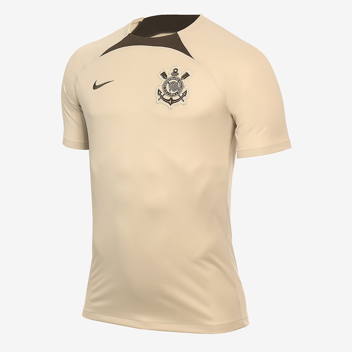 Camiseta Corinthians Treino Nike 2024 Academy Pro Masculina